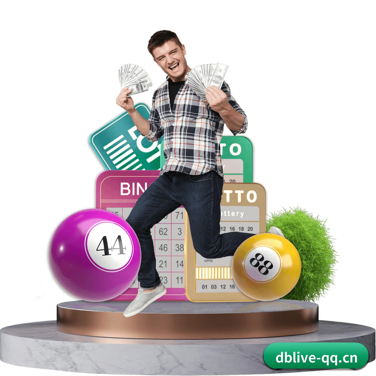 DB真人 APP