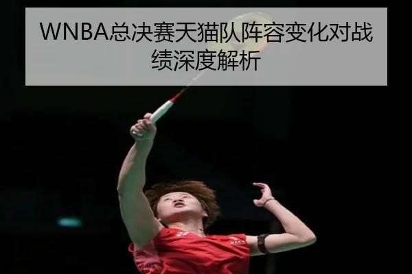 WNBA总决赛天猫队阵容变化对战绩深度解析
